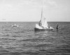 sailboat